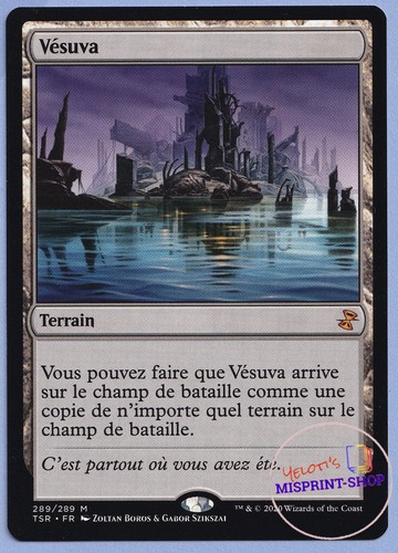 Vesuva french mtg - french,